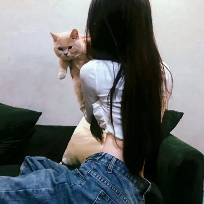 托梅斯的导盲犬